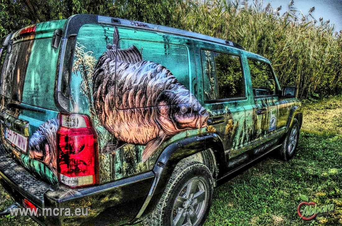 MeetCarp Romanian Awards 2013 (2) - 1016976hdrmode2.jpg